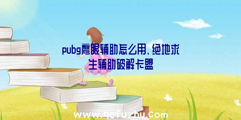 pubg鹰眼辅助怎么用、绝地求生辅助破解卡盟