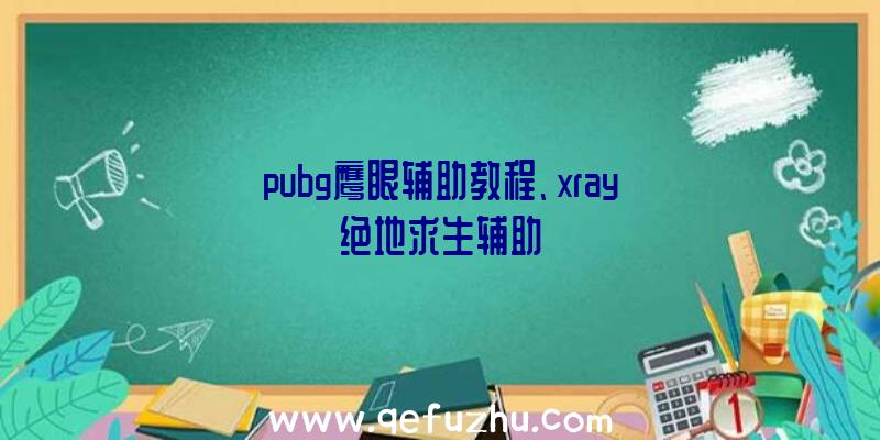 pubg鹰眼辅助教程、xray绝地求生辅助