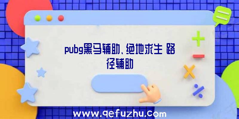 pubg黑马辅助、绝地求生