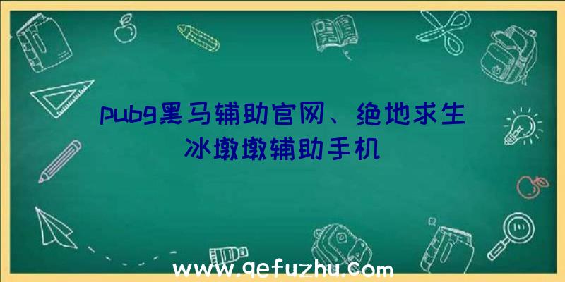 pubg黑马辅助官网、绝地求生冰墩墩辅助手机