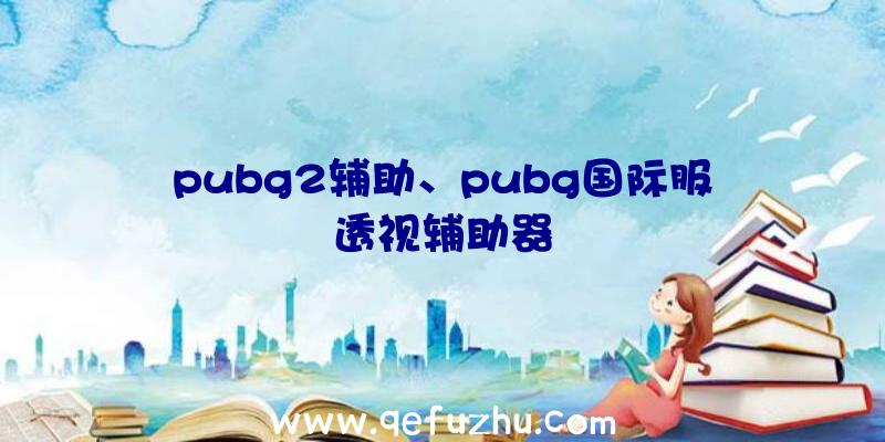 pubg2辅助、pubg国际服透视辅助器