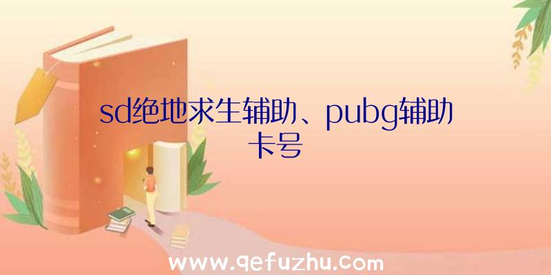 sd绝地求生辅助、pubg辅助卡号