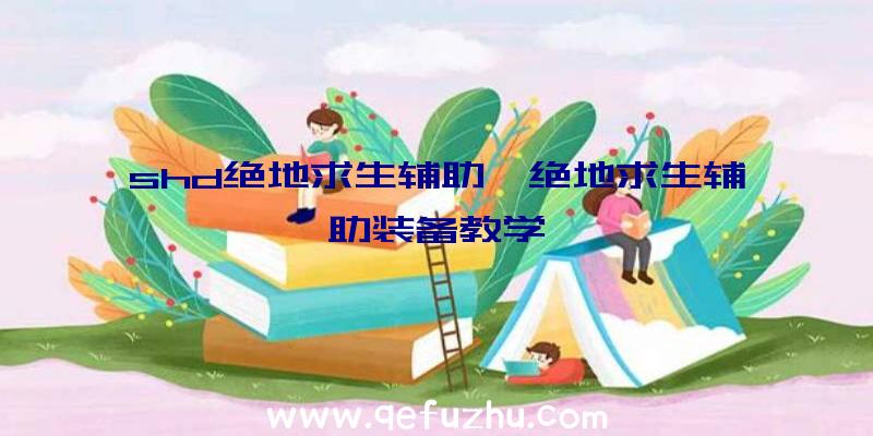 shd绝地求生辅助、绝地求生辅助装备教学