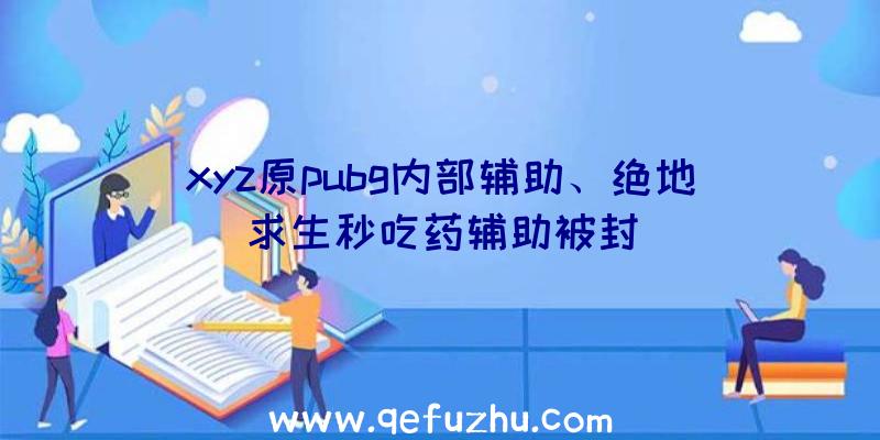 xyz原pubg内部辅助、绝地求生秒吃药辅助被封