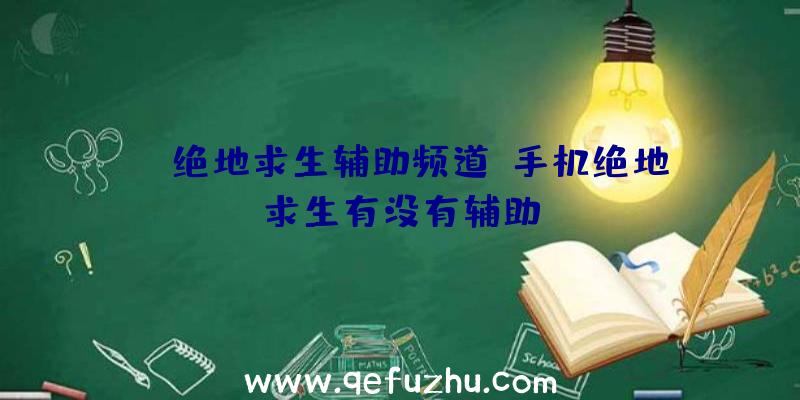 yy绝地求生辅助频道、手机绝地求生有没有辅助