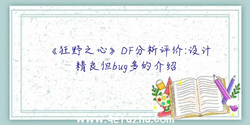 《狂野之心》DF分析评价:设计精良但bug多的介绍