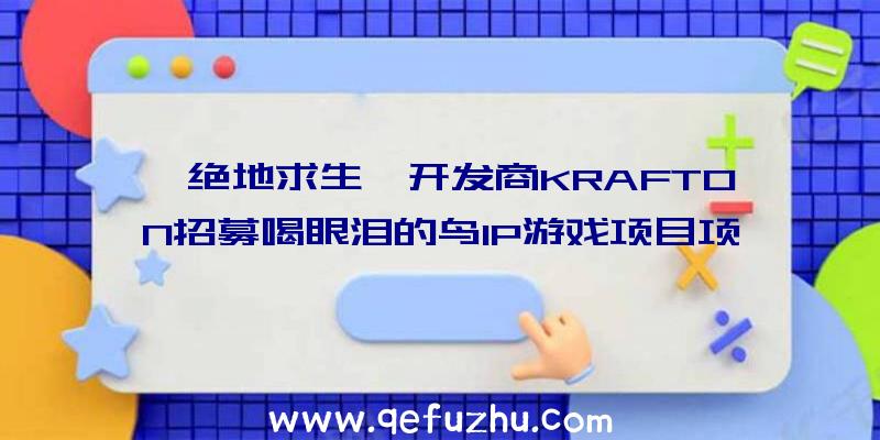 《绝地求生》开发商KRAFTON招募喝眼泪的鸟IP游戏项目项