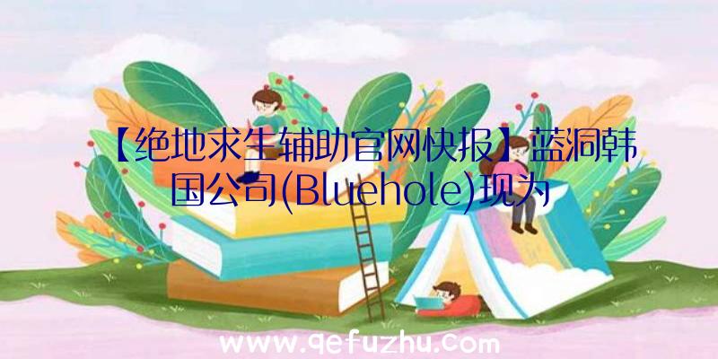 【绝地求生辅助官网快报】蓝洞韩国公司(Bluehole)现为