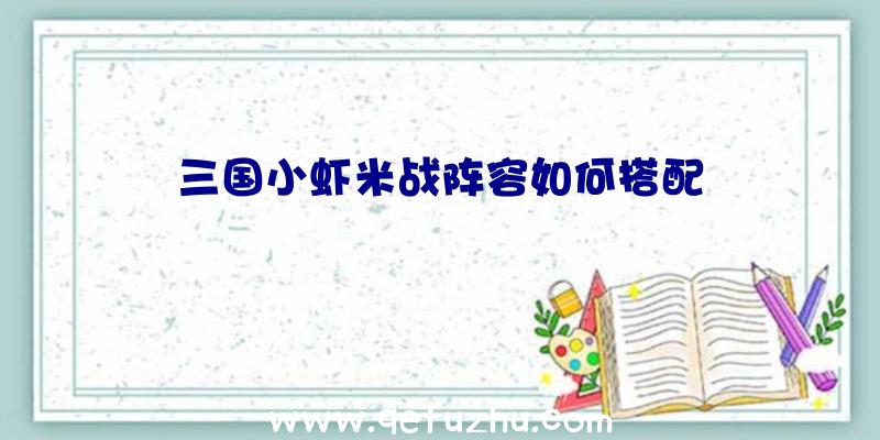 三国小虾米战阵容如何搭配