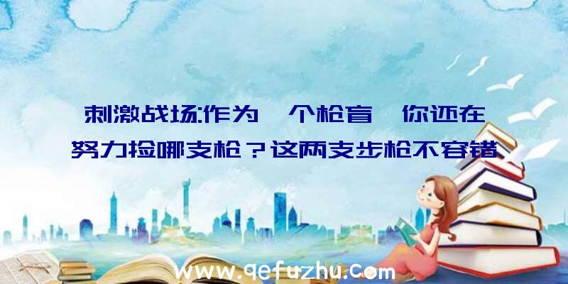 刺激战场:作为一个枪盲,你还在努力捡哪支枪？这两支步枪不容错