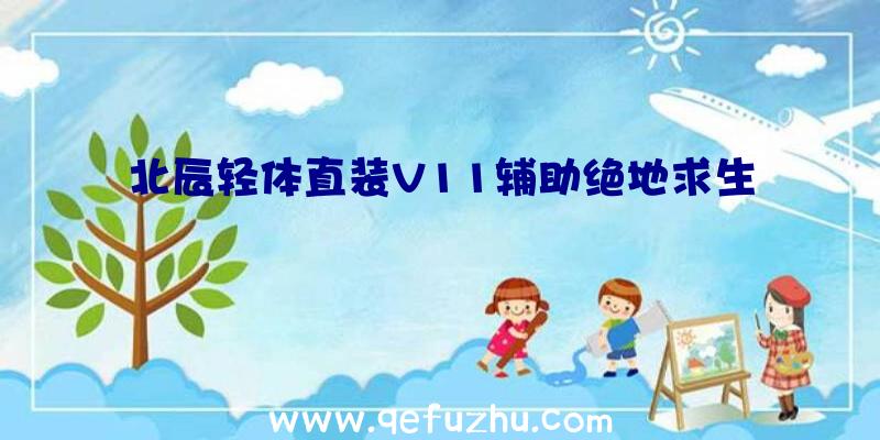 北辰轻体直装V11辅助绝地求生