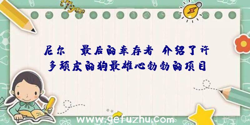 尼尔:《最后的幸存者》介绍了许多顽皮的狗最雄心勃勃的项目