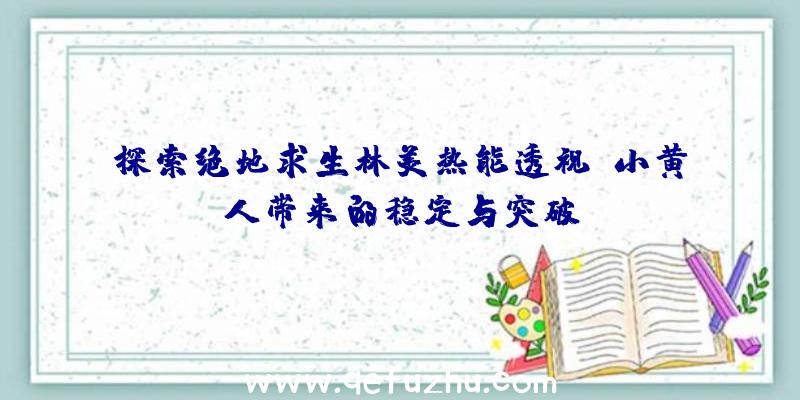 探索绝地求生林美热能透视：小黄人带来的稳定与突破