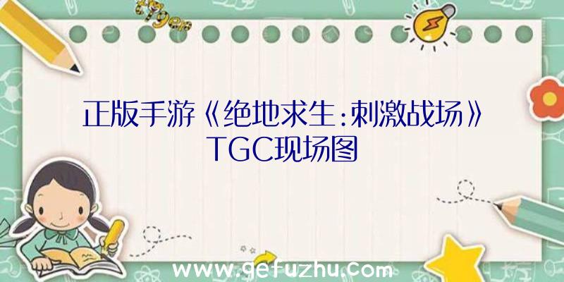 正版手游《绝地求生:刺激战场》TGC现场图