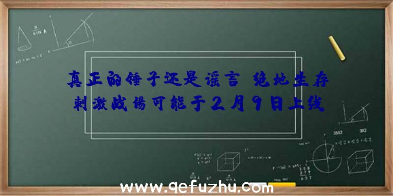 真正的锤子还是谣言？绝地生存:刺激战场可能于2月9日上线!