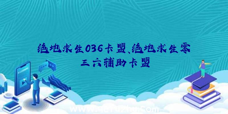 绝地求生036卡盟、绝地求生零三六辅助卡盟