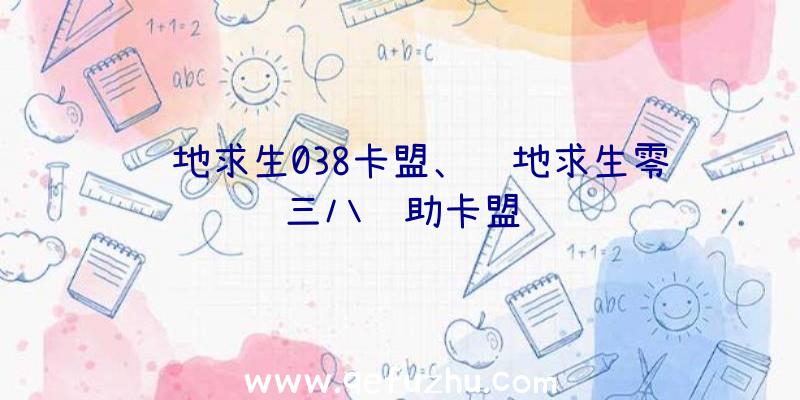 绝地求生038卡盟、绝地求生零三八辅助卡盟