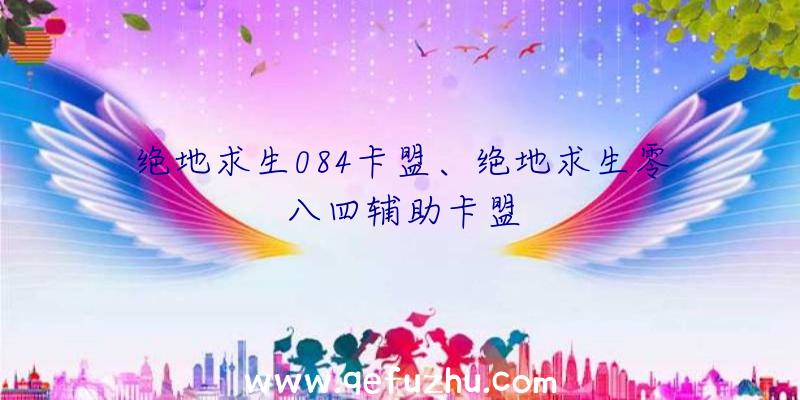 绝地求生084卡盟、绝地求生零八四辅助卡盟