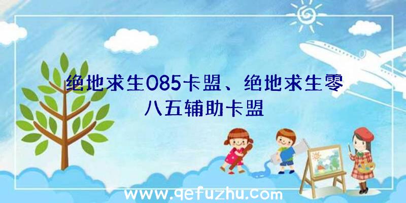 绝地求生085卡盟、绝地求生零八五辅助卡盟