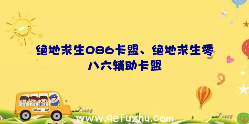 绝地求生086卡盟、绝地求生零八六辅助卡盟