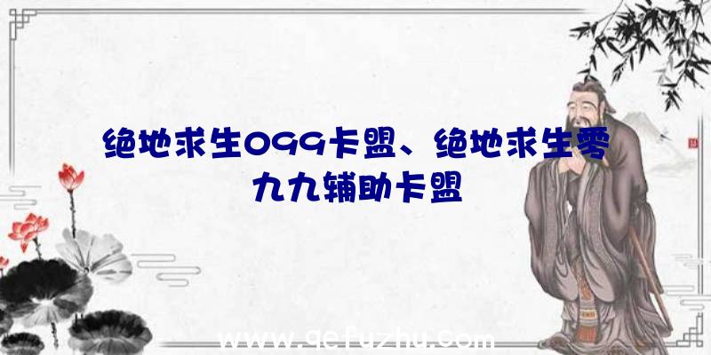 绝地求生099卡盟、绝地求生零九九辅助卡盟