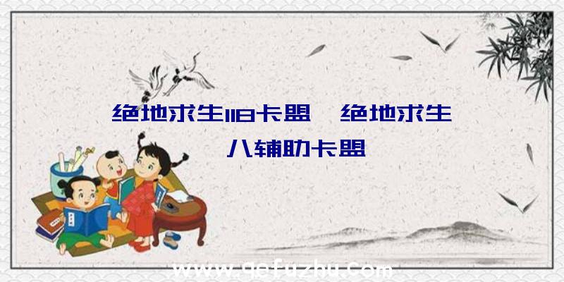 绝地求生118卡盟、绝地求生一一八辅助卡盟