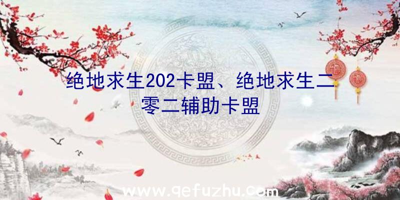 绝地求生202卡盟、绝地求生二零二辅助卡盟