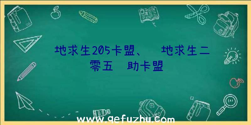 绝地求生205卡盟、绝地求生二零五辅助卡盟