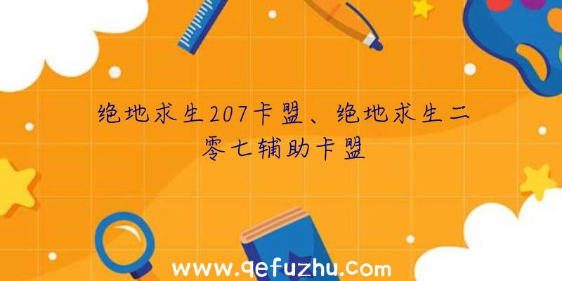 绝地求生207卡盟、绝地求生二零七辅助卡盟