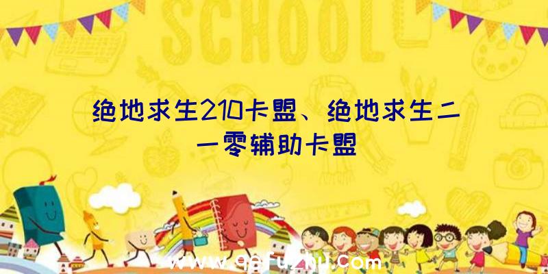 绝地求生210卡盟、绝地求生二一零辅助卡盟