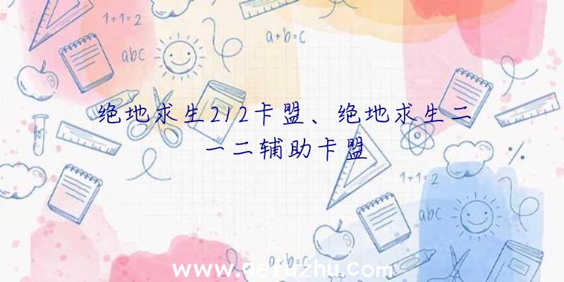 绝地求生212卡盟、绝地求生二一二辅助卡盟