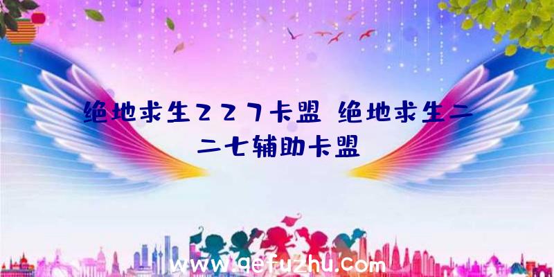 绝地求生227卡盟、绝地求生二二七辅助卡盟