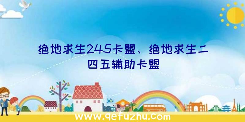 绝地求生245卡盟、绝地求生二四五辅助卡盟