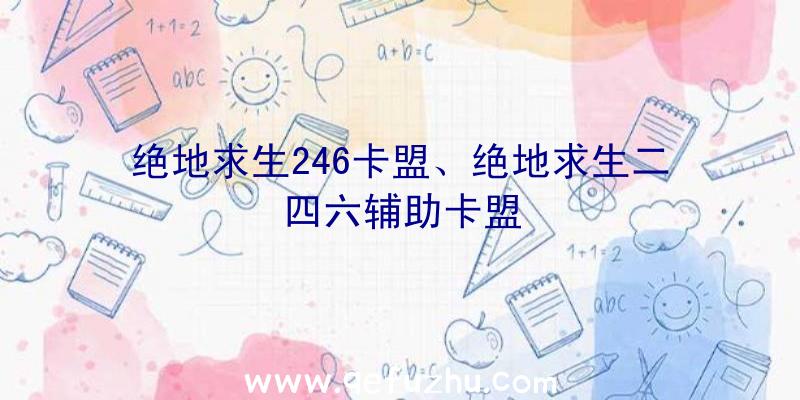 绝地求生246卡盟、绝地求生二四六辅助卡盟