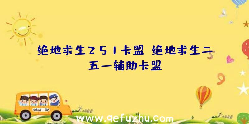 绝地求生251卡盟、绝地求生二五一辅助卡盟