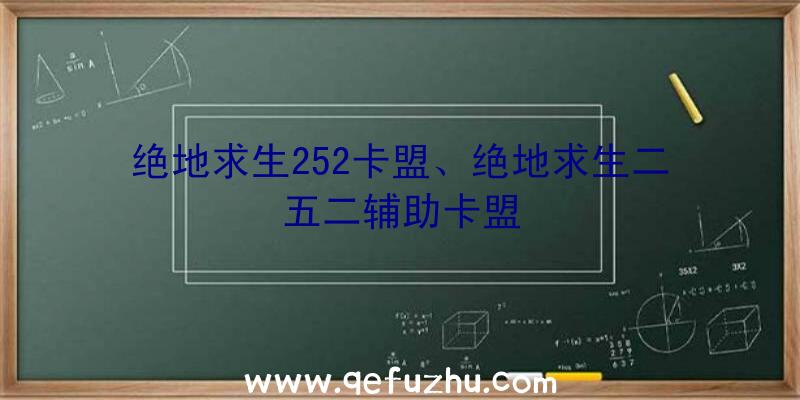 绝地求生252卡盟、绝地求生二五二辅助卡盟