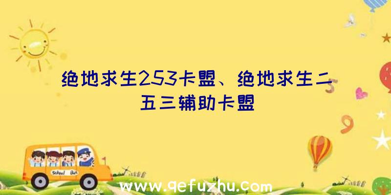 绝地求生253卡盟、绝地求生二五三辅助卡盟