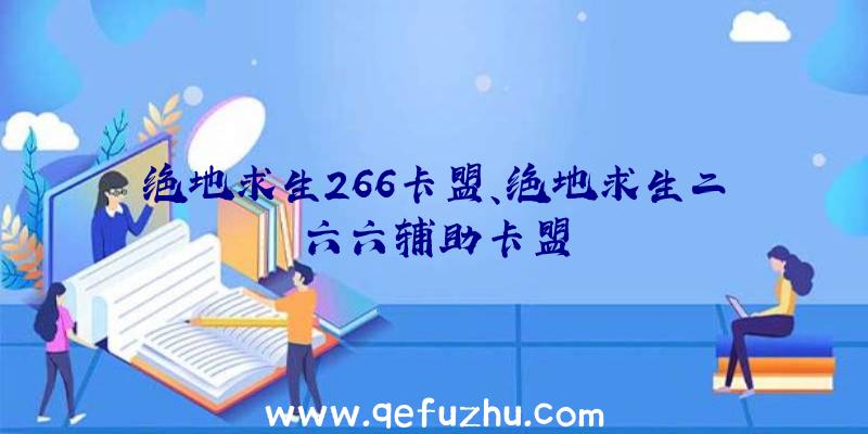 绝地求生266卡盟、绝地求生二六六辅助卡盟