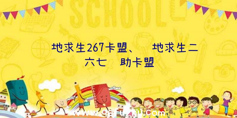 绝地求生267卡盟、绝地求生二六七辅助卡盟