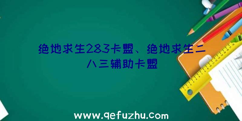 绝地求生283卡盟、绝地求生二八三辅助卡盟