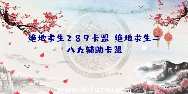 绝地求生289卡盟、绝地求生二八九辅助卡盟