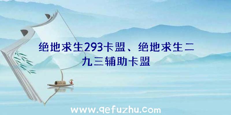 绝地求生293卡盟、绝地求生二九三辅助卡盟