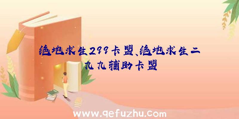 绝地求生299卡盟、绝地求生二九九辅助卡盟