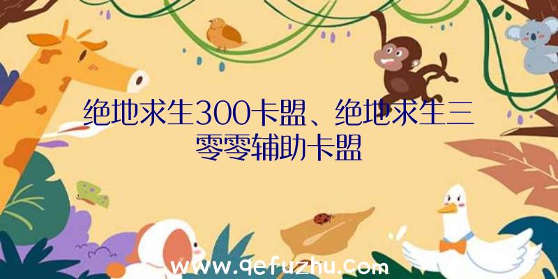 绝地求生300卡盟、绝地求生三零零辅助卡盟