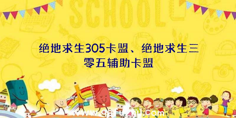 绝地求生305卡盟、绝地求生三零五辅助卡盟