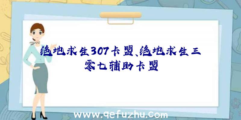 绝地求生307卡盟、绝地求生三零七辅助卡盟