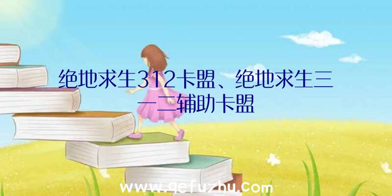 绝地求生312卡盟、绝地求生三一二辅助卡盟