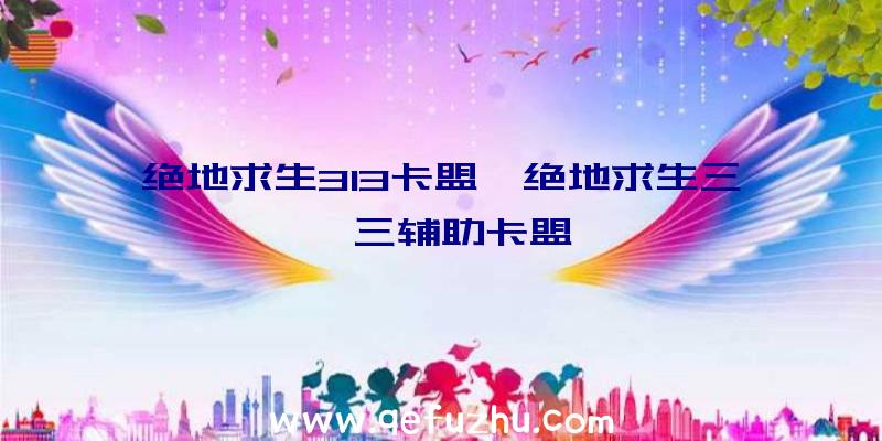 绝地求生313卡盟、绝地求生三一三辅助卡盟