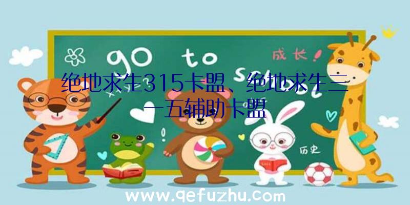 绝地求生315卡盟、绝地求生三一五辅助卡盟