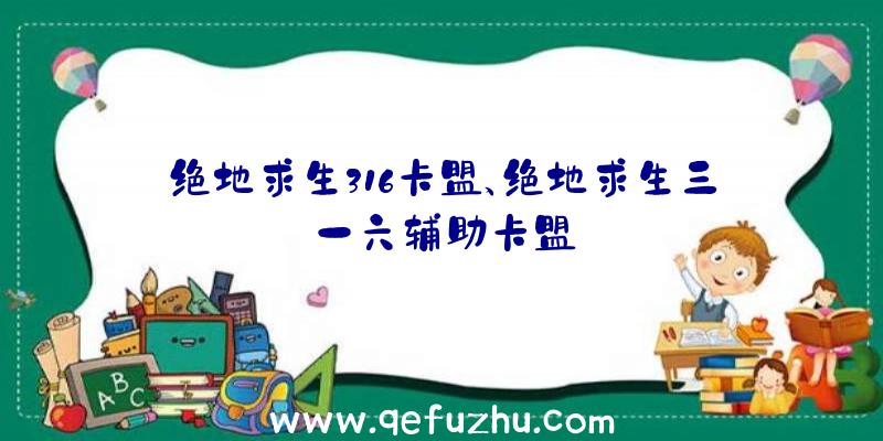 绝地求生316卡盟、绝地求生三一六辅助卡盟